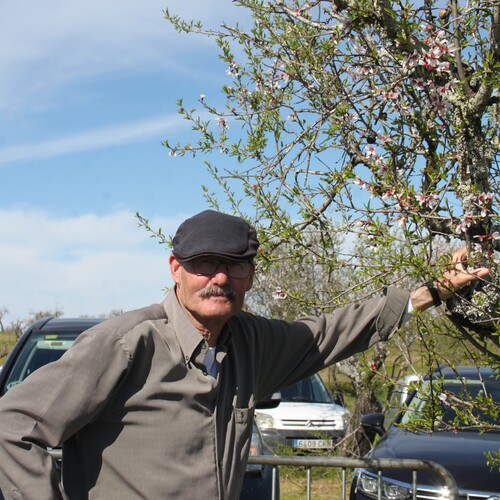 Almendro en flor 2026 (116)